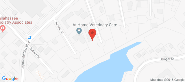 Florida Therapy Services - Tallahassee