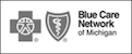 Blue Care Network logo