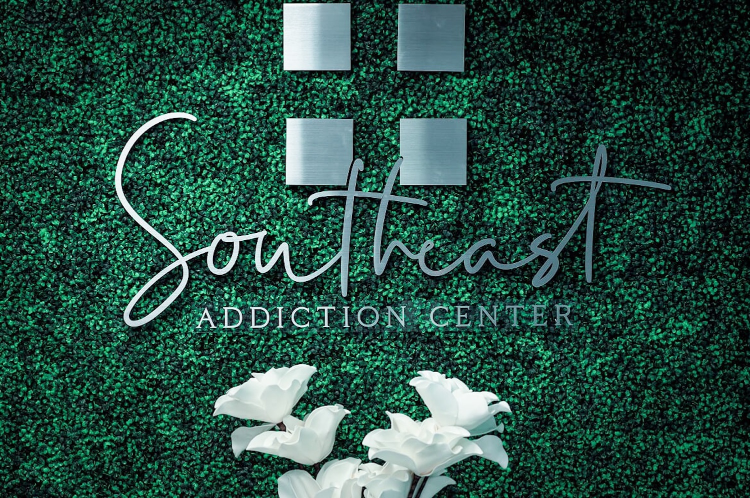 Southeast Addiction Center cover