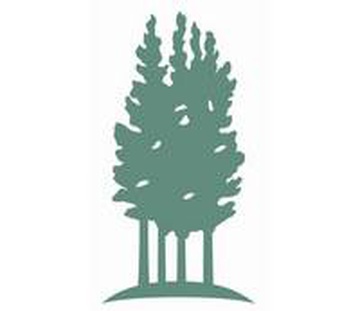 Pine Grove Behavioral Health & Addiction Services logo